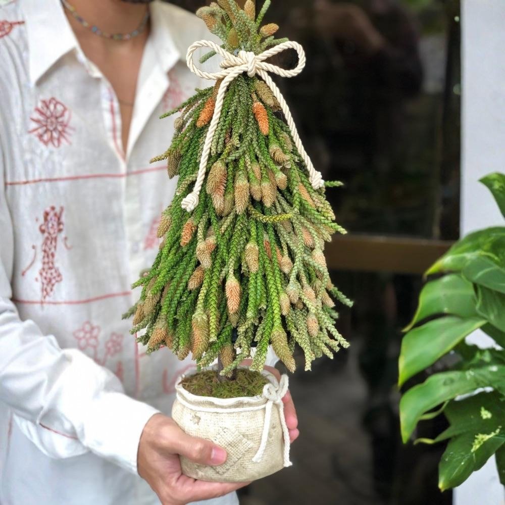 Árvore de Natal Natural Artesanal