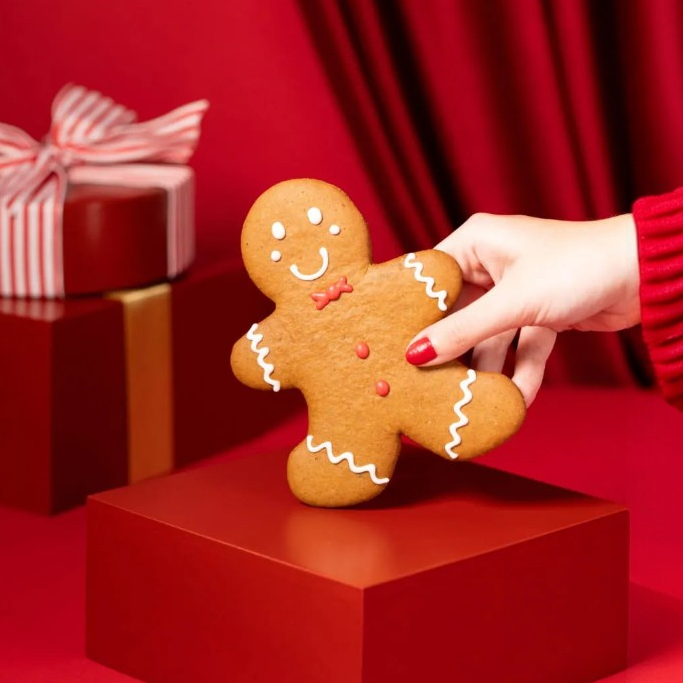 Kit Luzes de Natal Biscoitê