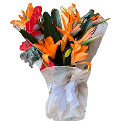 Tropica