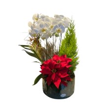 Coquetel Mix 1 Vaso de Cerâmica