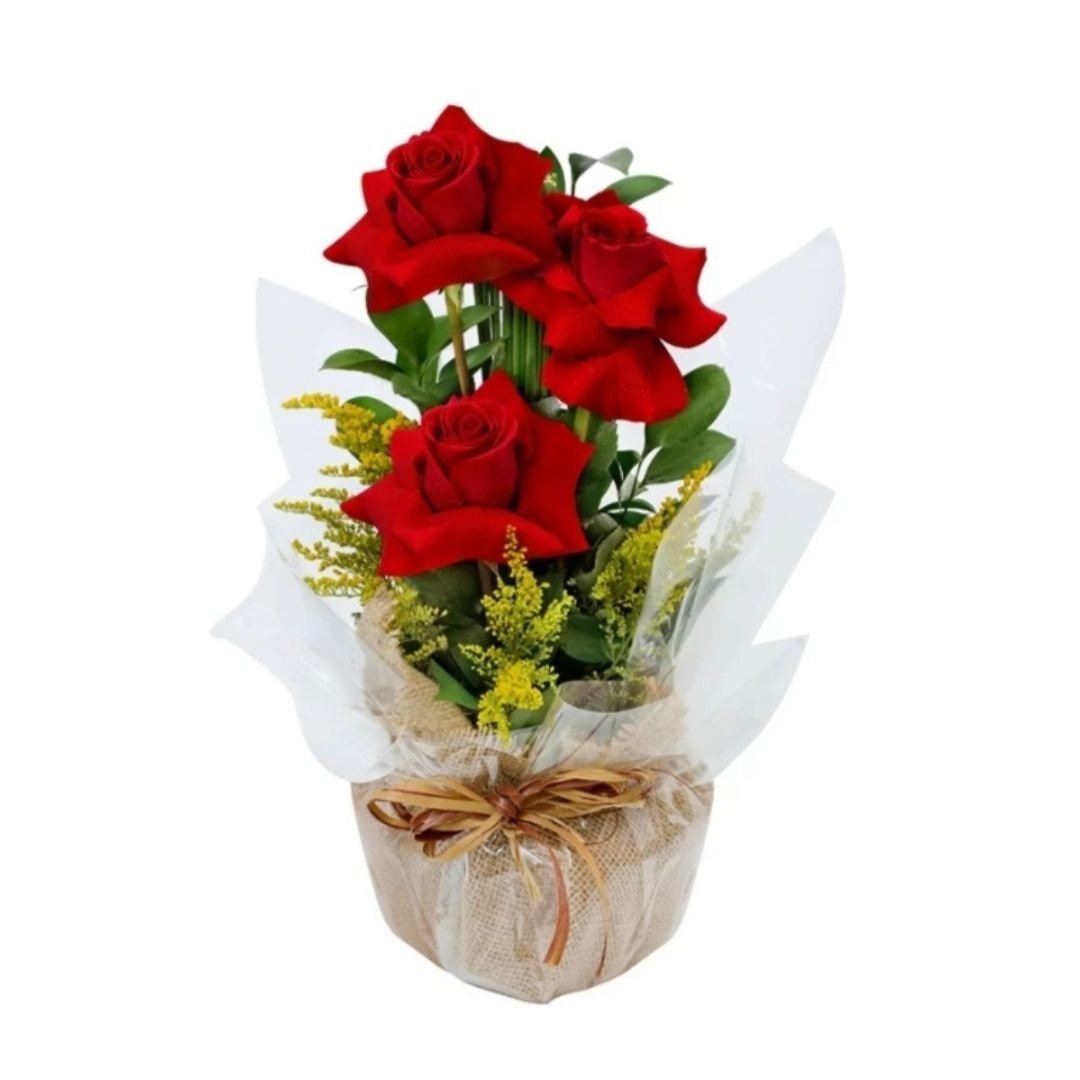 Trio de Rosas Clean