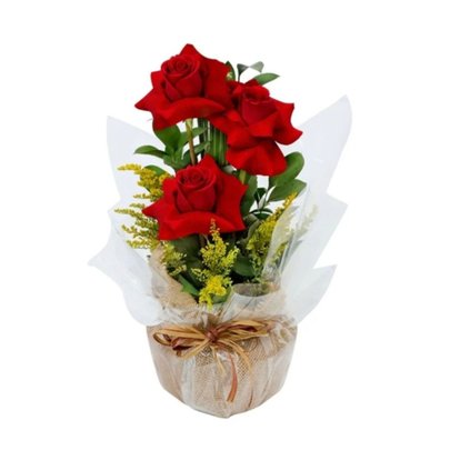 Trio de Rosas Clean