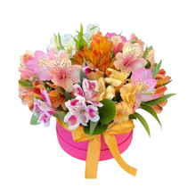Box florecer