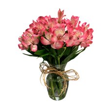 Arranjo de Astromelias Cor de Rosa