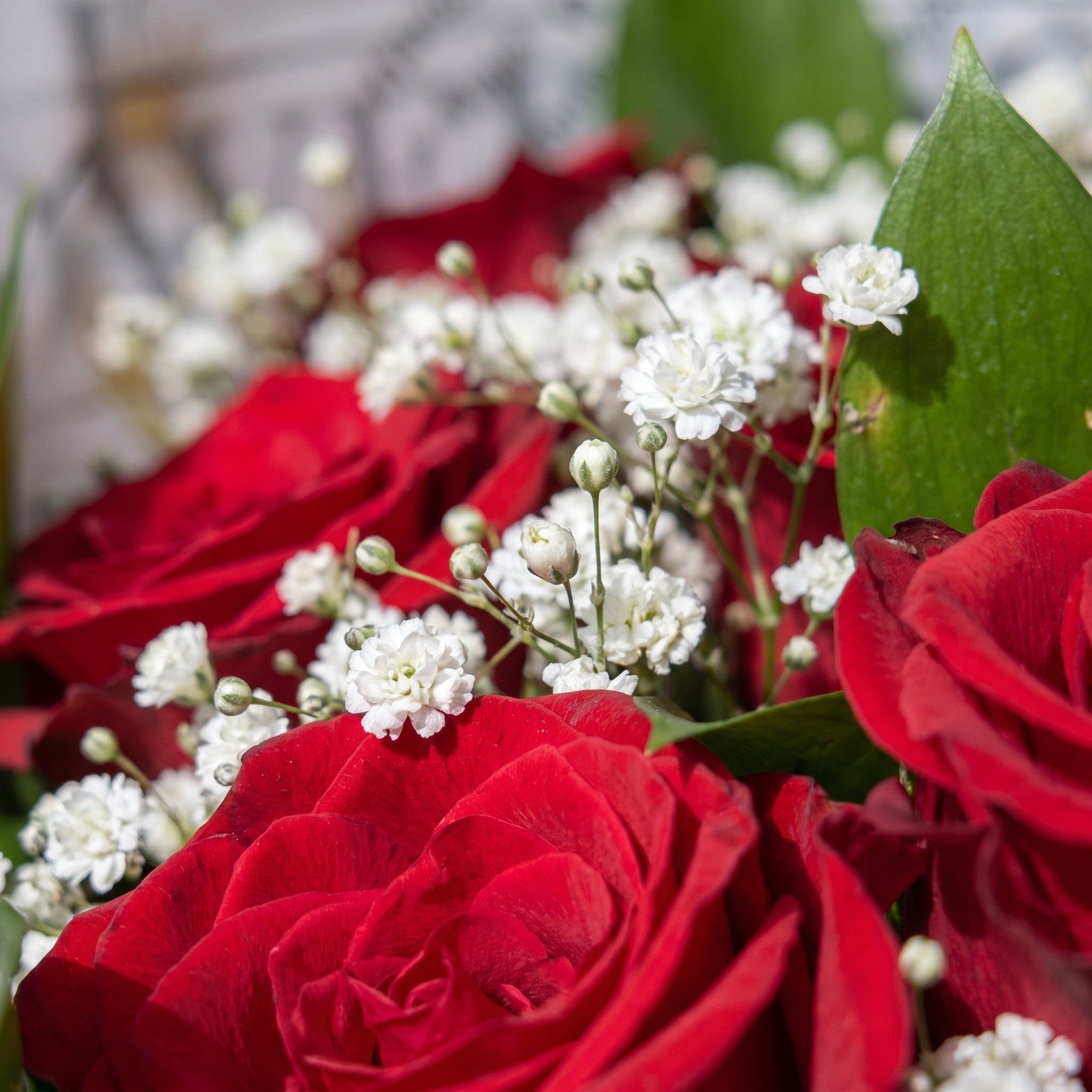 Buquê 12 Rosas Vermelhas Colombianas