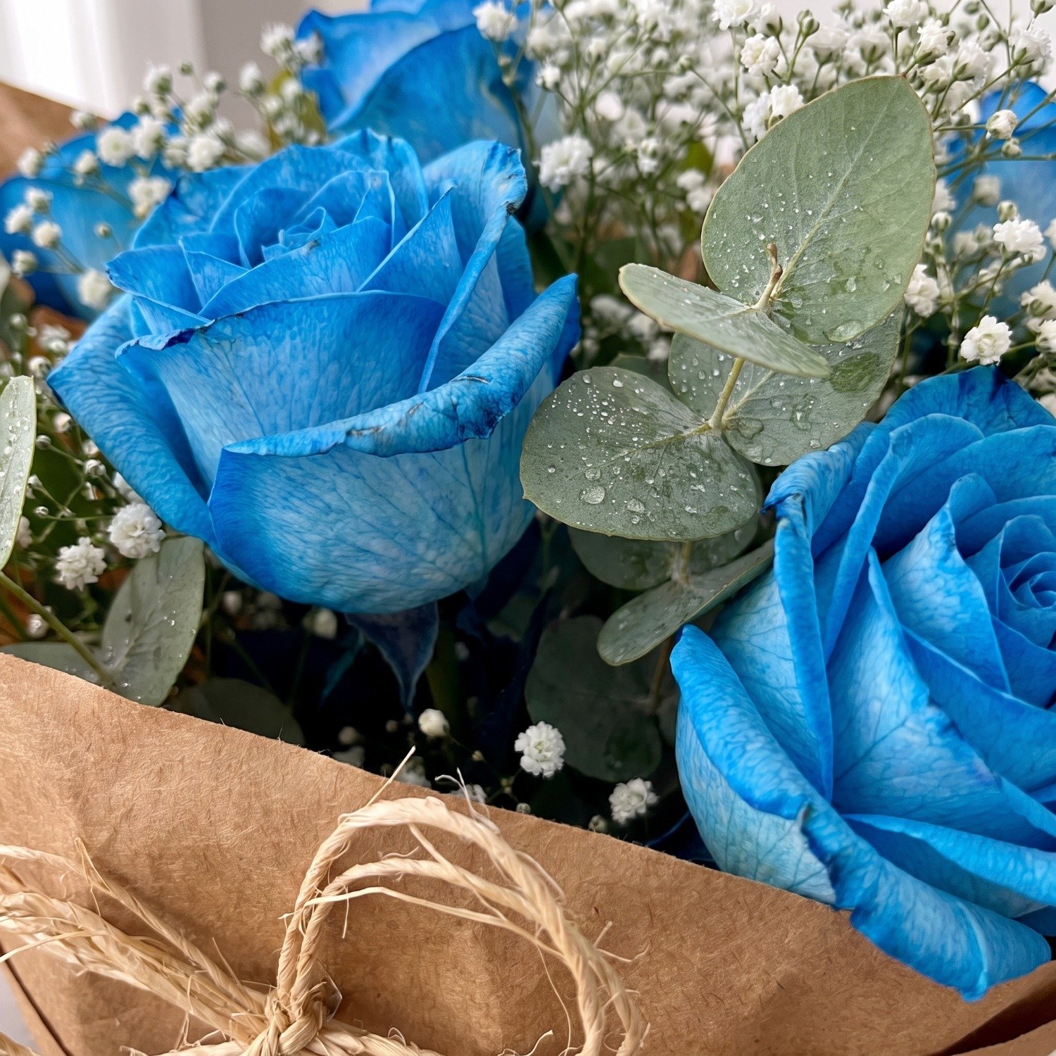 Buquê de Rosas Azuis 6 Rosas
