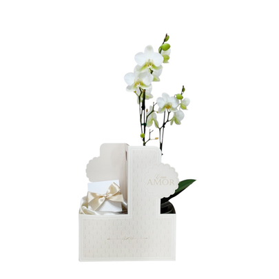 Cesta de Flores