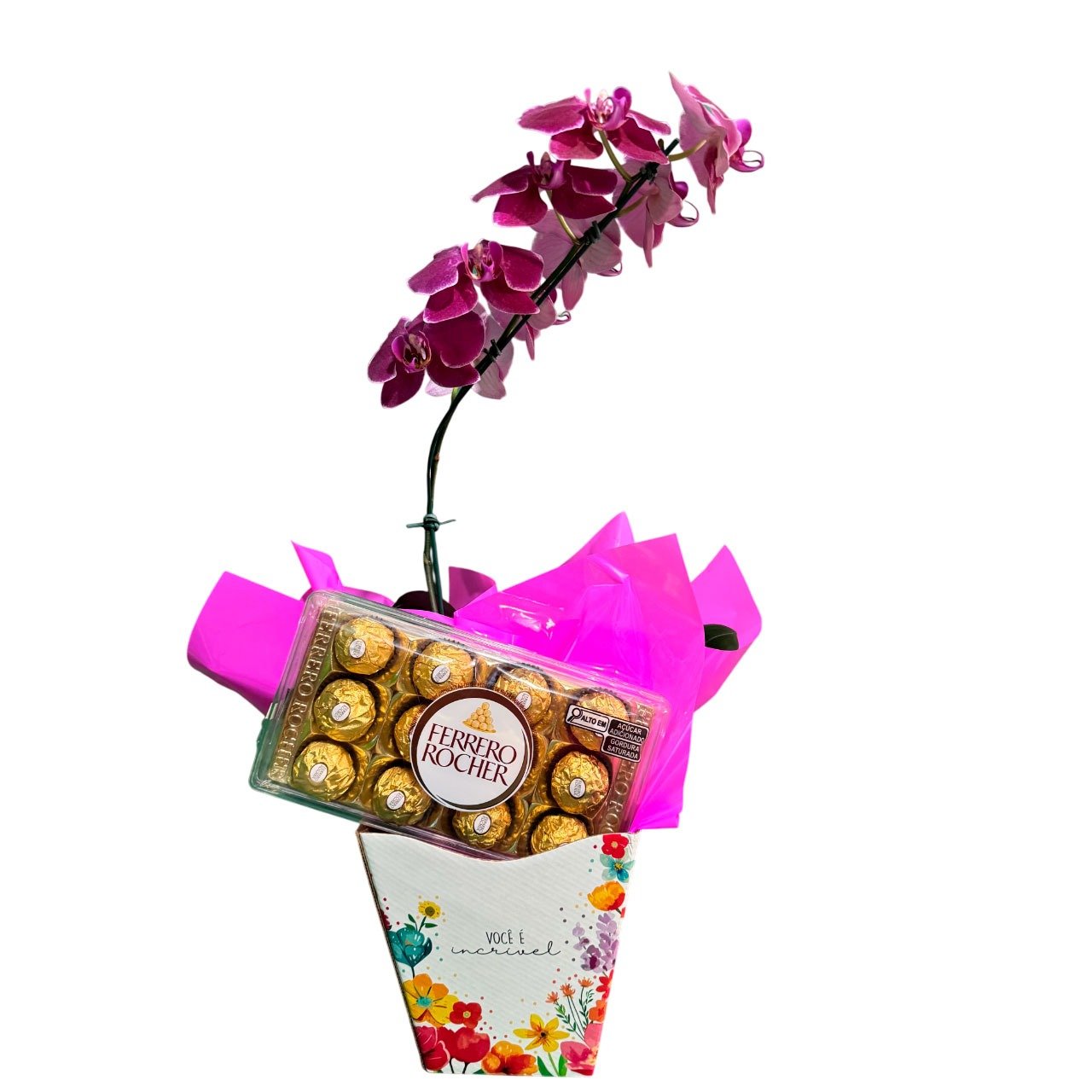 Orquídea Phalaenopsis com Ferrero Rocher
