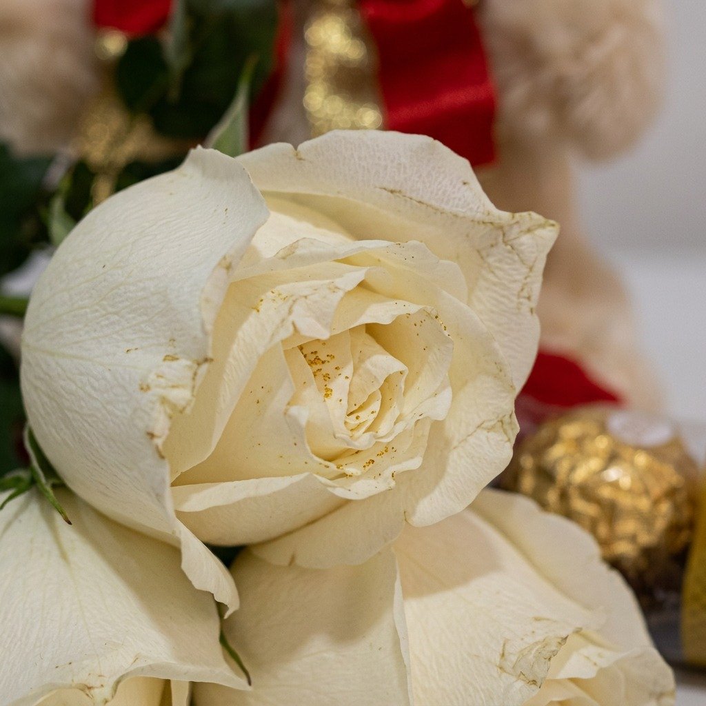 3 Rosas com Ferrero Rocher e Pelúcia
