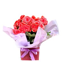 Vaso De Begônia Rosa Tradicional