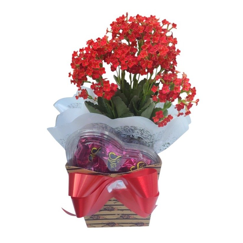 Flora da Fortuna com Coração de Bombons