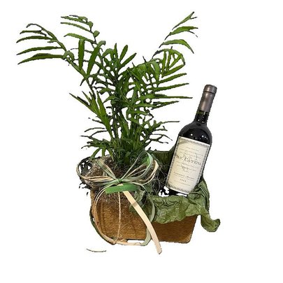 Folhagem e Vinho DV Catena