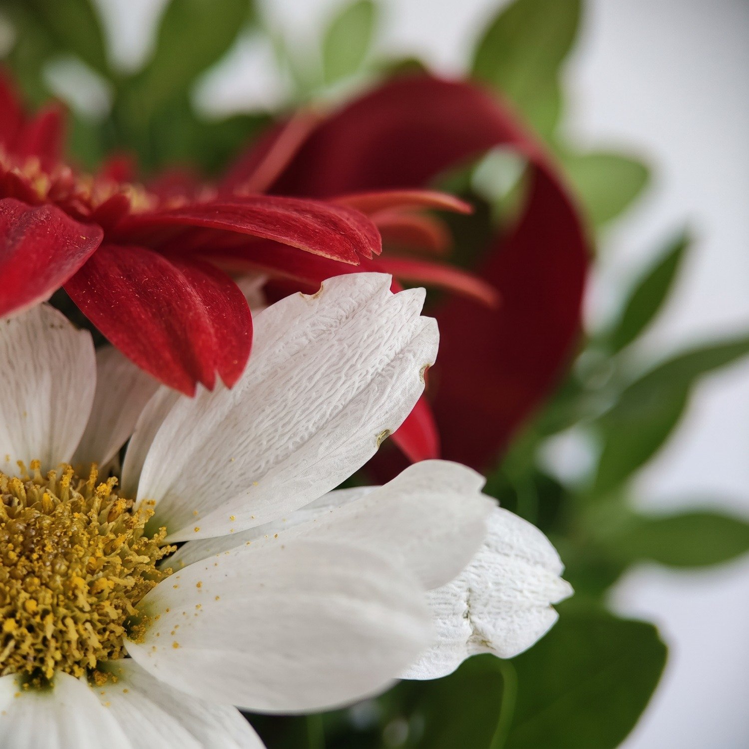 Buquê de Flores do Campo com Gérberas 