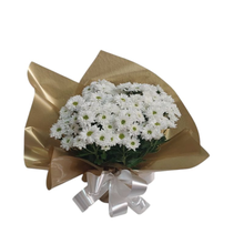 Margarida plantada Branca Mine