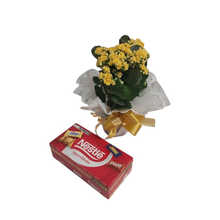 Vaso de Calandiva Amarela plantada com Bombons