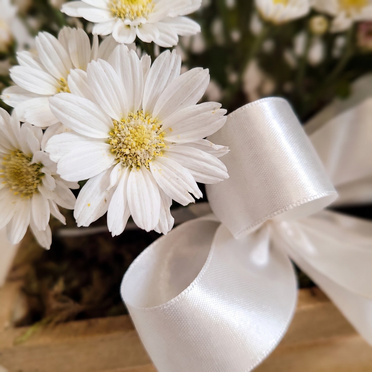 Cachepot com 2 Flores Margaridas Brancas