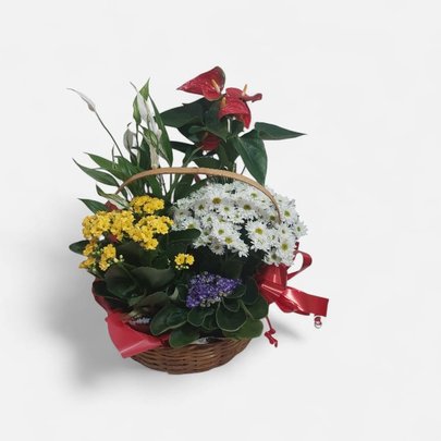 Cesta Mista de Flores