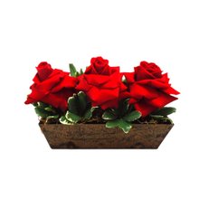 Jardineira de Rosas