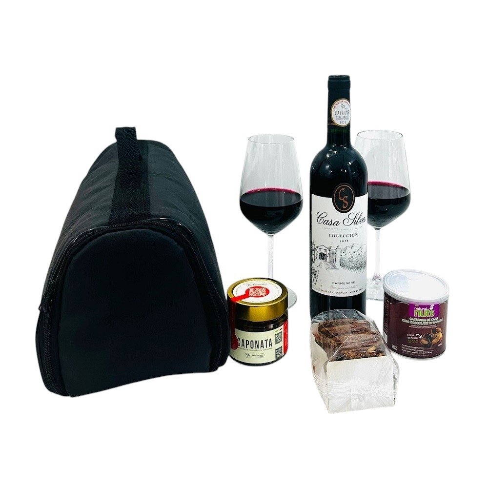Kit Wine Sommelier Casa Silva 
