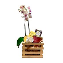 Cesta Chá com orquídea