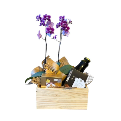 Cesta Chocolates e Orquídea
