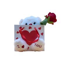 Pelúcia de Urso na Sacola com Flor