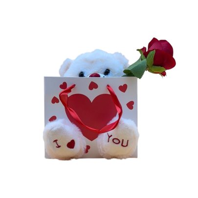 Pelúcia de Urso na Sacola com Flor