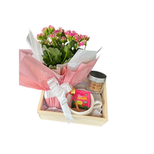 Cesta de Presente Florida - Delicadeza Que Encanta