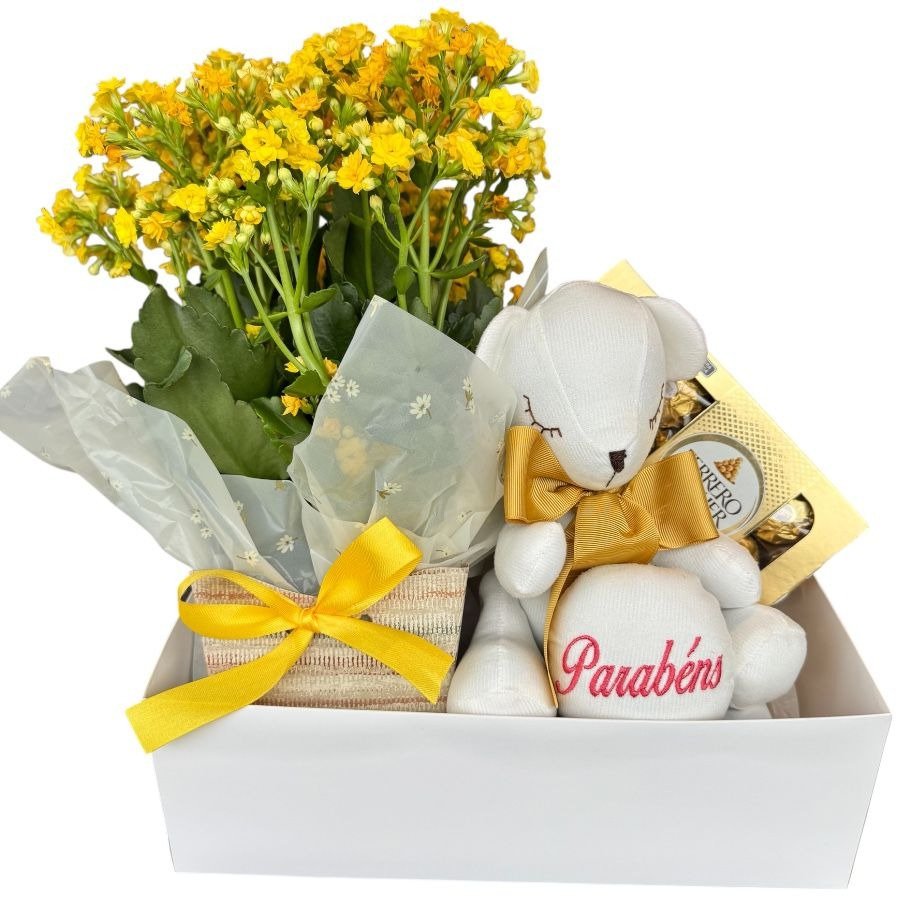 Cesta de Aniversário Parabéns: Kalanchoe e Ferrero 