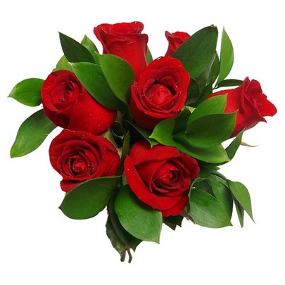 Delicado - 6 rosas vermelhas