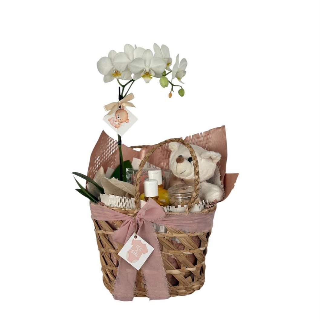 Cesta Presente de  Maternidade Baby Girl