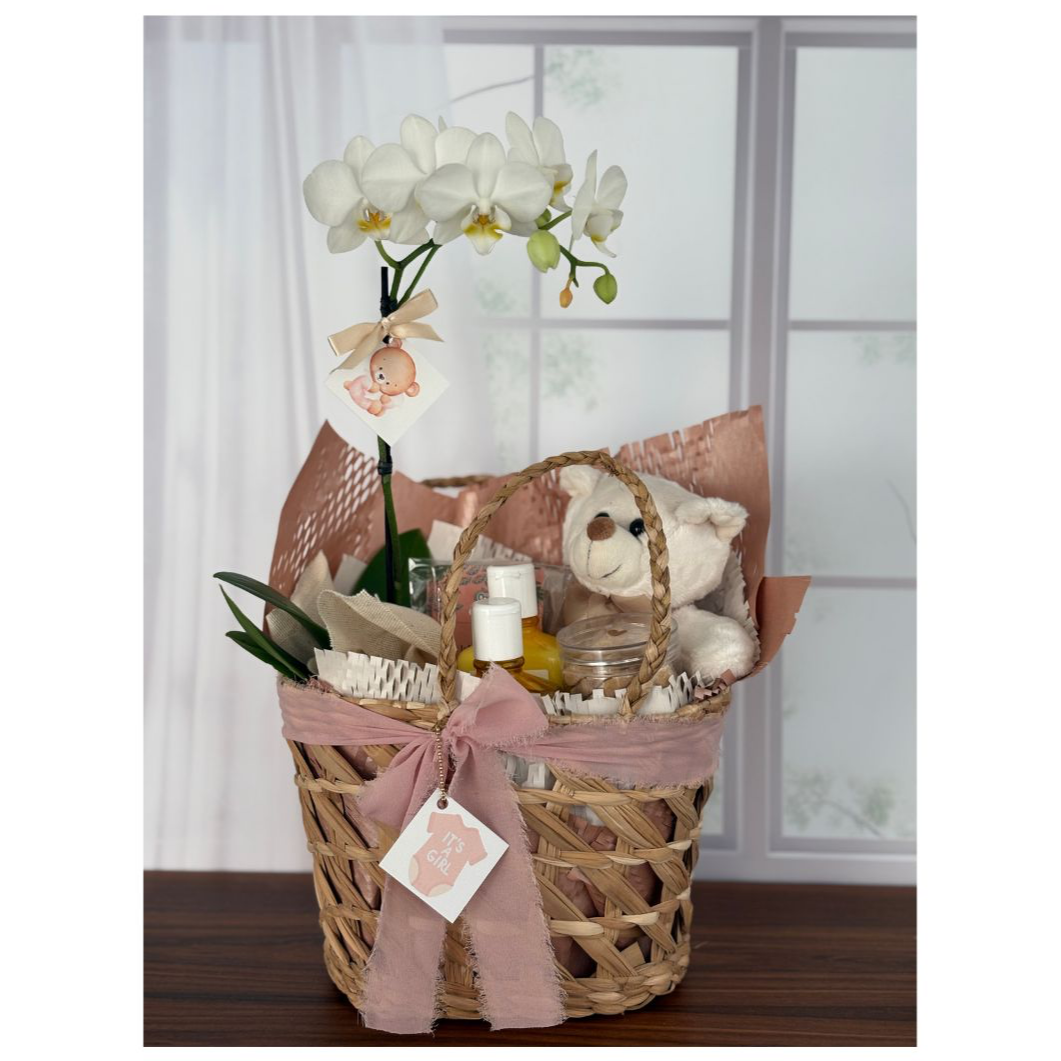 Cesta Presente de  Maternidade Baby Girl
