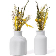 Conjunto 2 Vasos Garrafa Cimento com Flores Secas
