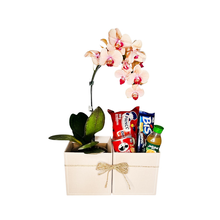 Kit Presente com Orquídea e Delícias