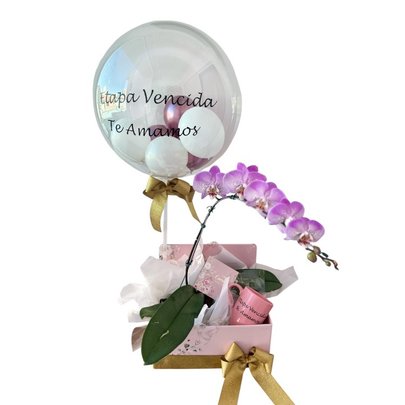 Cesta Caixa Etapa Vencida