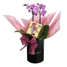 Lata Giuliana Bom dia