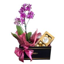 Caixa Giuliana Doçura