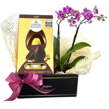 Caixa Páscoa Encantada Ferrero