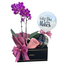 Caixa Giuliana Ternura de Mãe