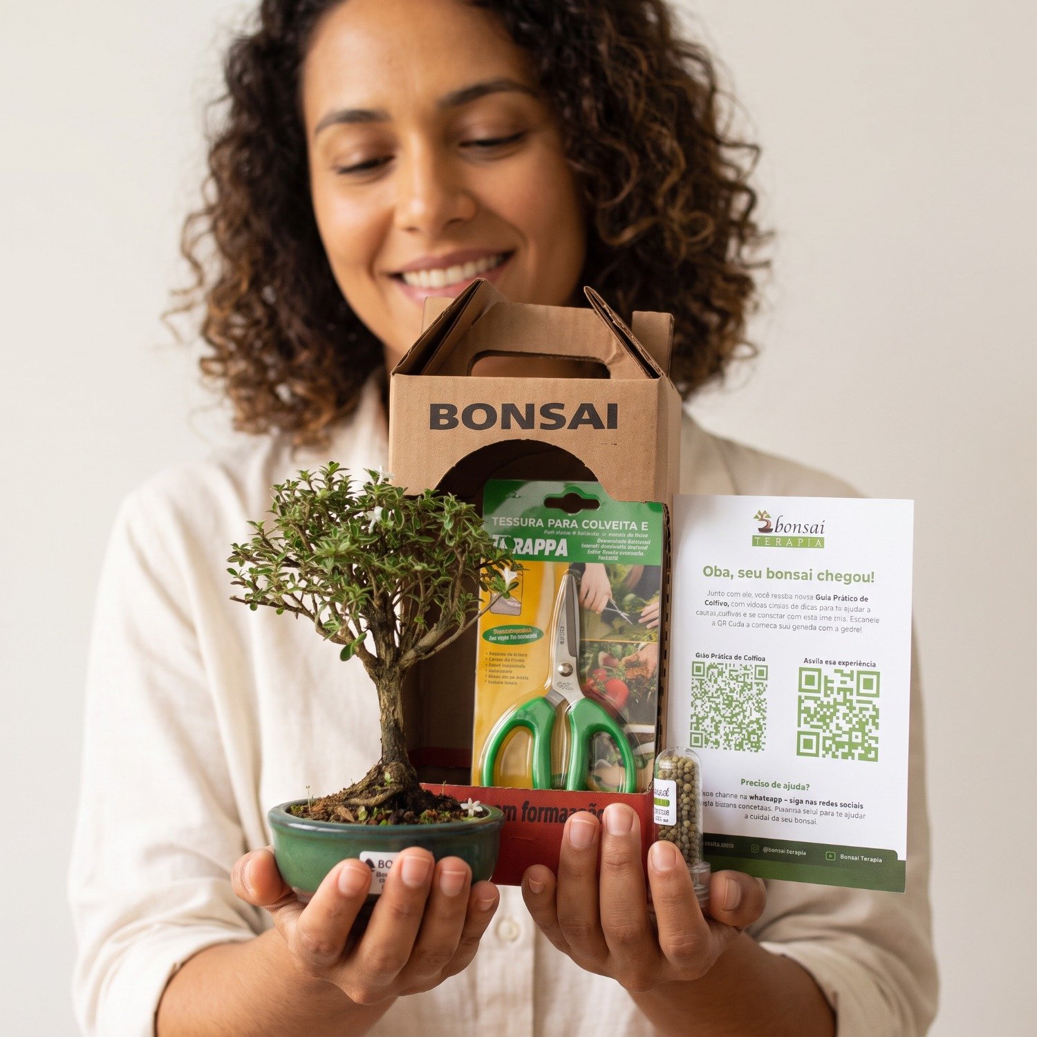 Bonsai Serissa Variegata E Kit Para Cuidados