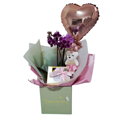 Cesta Amor Sem Fim Orquídea