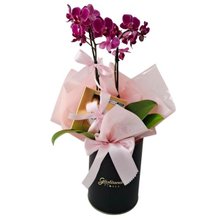 Box Luxo Flowers