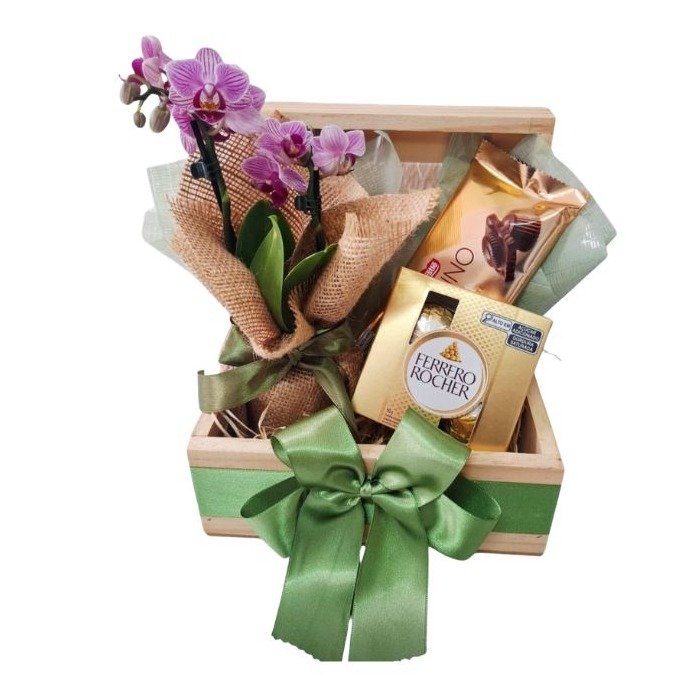 Box Orquídea Imperial