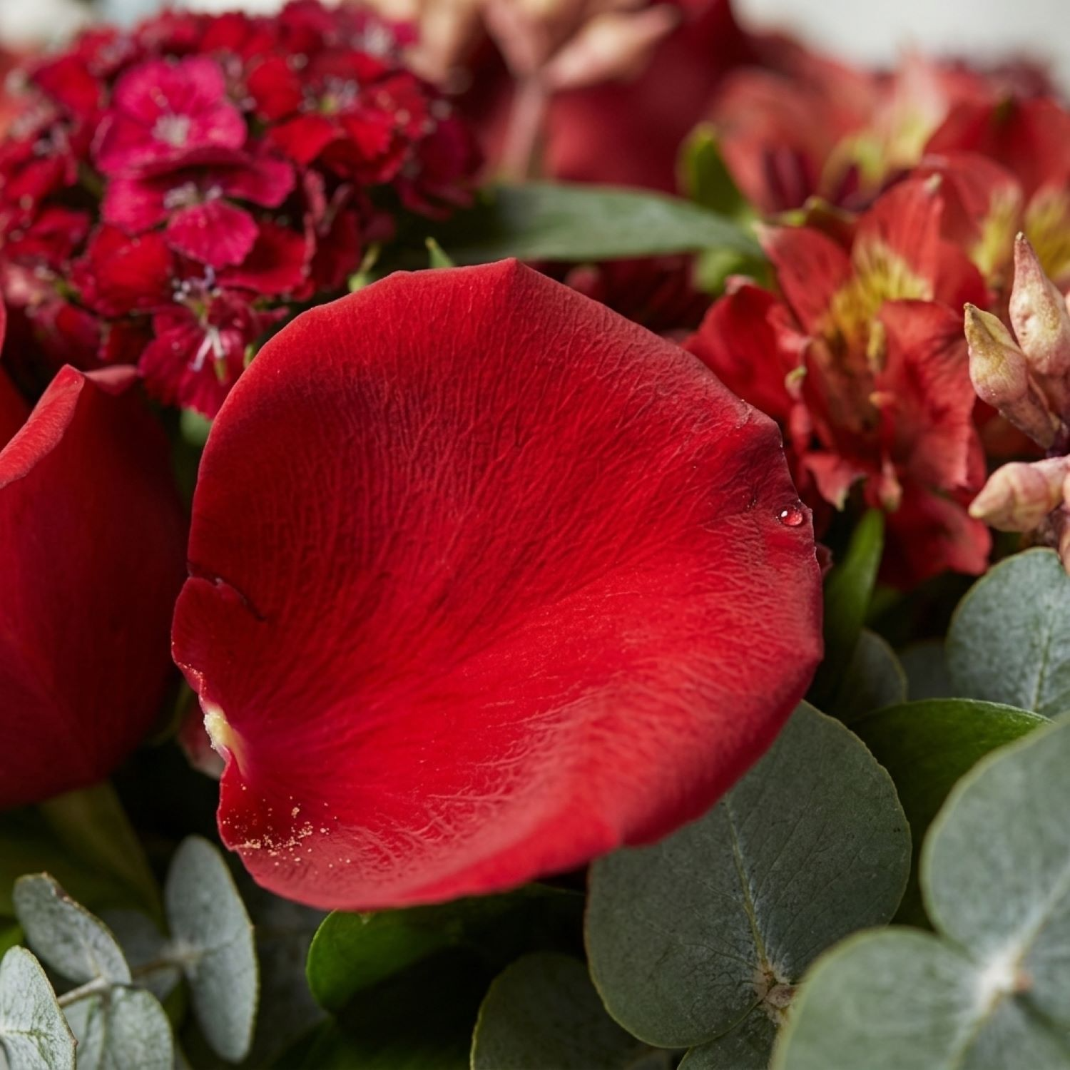 Arranjo Rosas e Alstroemérias