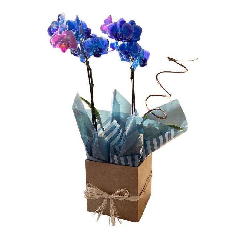 Item