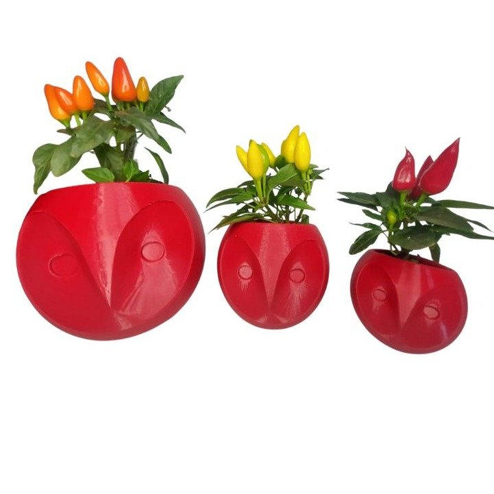 Trio Corujas Pimentas