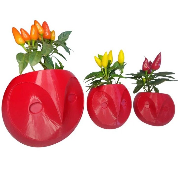 Trio Corujas Pimentas