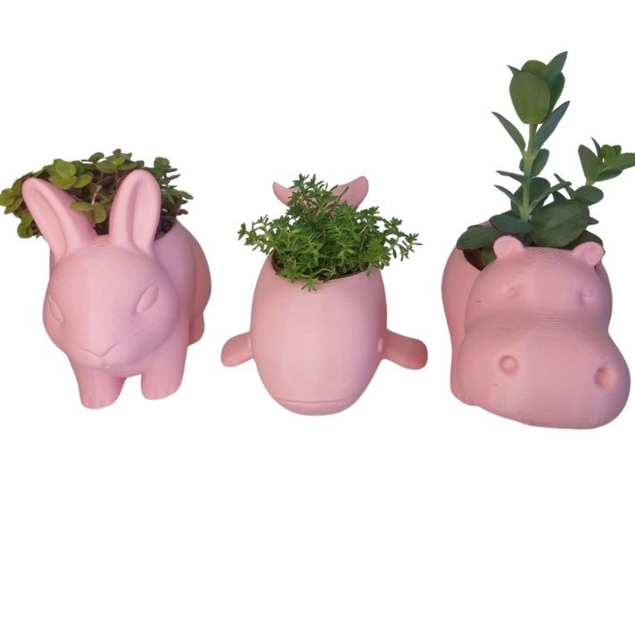 Trio Fofura Suculenta