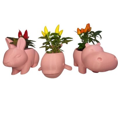 Trio Fofura Pimentas