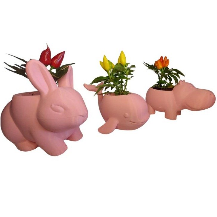 Trio Fofura Pimentas